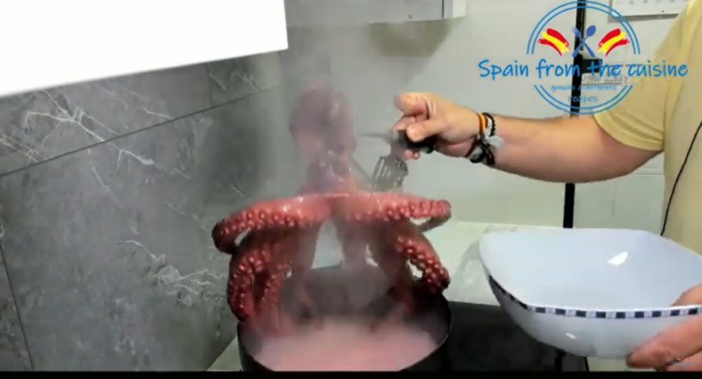 Galician Style Octopus